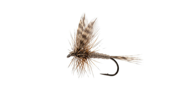 Handcrafted dry fly fishing lure, traditional feathered artificial insect bait, brown trout fishing tackle for fly fishing hobby isolated PNG with Transparent Background