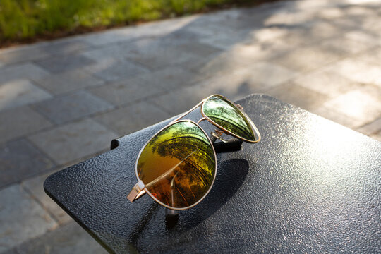 Close-up of modern aviator sunglasses with reflective lenses displaying pine trees and walkway in a sunny city park outdoors.