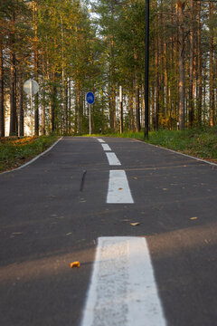 Low angle perspective of an empty asphalt bicycle track with white road marking lines and traffic signs in a sunny autumn pine forest.
