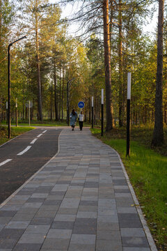 Paved walking sidewalk and asphalt cycling lane with people walking away in a scenic autumn forest park. Modern urban park infrastructure.