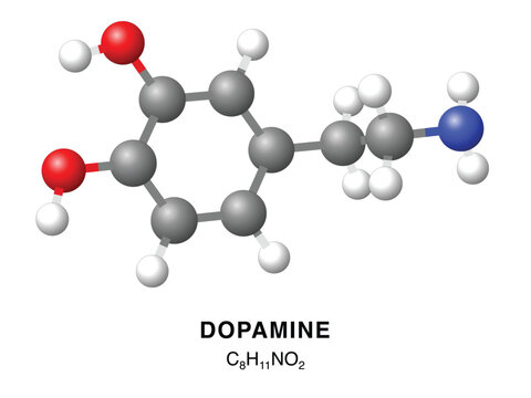 Dopamine molecular structure 3d representation. Vector Illustration
