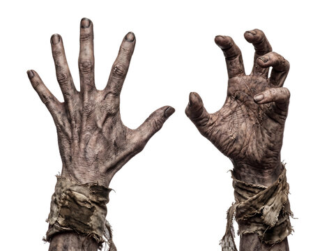 Two creepy zombie hands reaching out isolated on transparent background