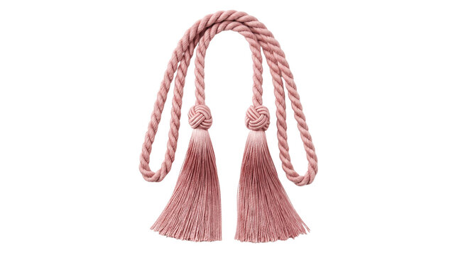 Pink curtain tassel tieback, dusty rose decorative rope tie back for drapes, elegant silk fringe window tieback isolated on white background