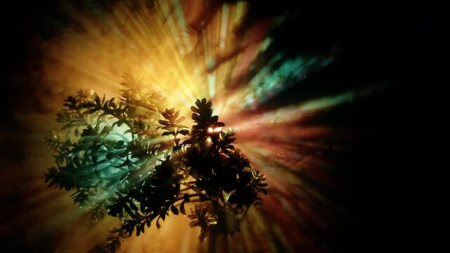 Abstract Fantasy Forest Scene With Backlit Tree And Dramatic Light Leaks