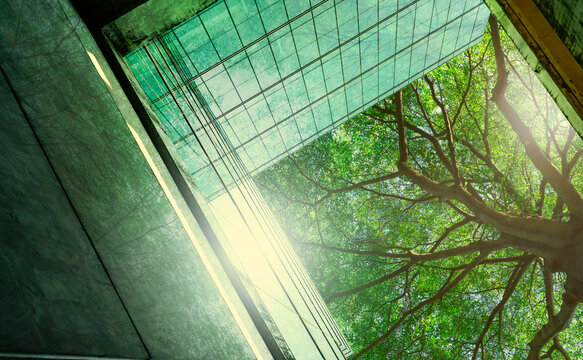Modern sustainable glass office building beside a green tree, eco friendly urban architecture designed to reduce carbon emissions and support healthier corporate environments. Low carbon development.