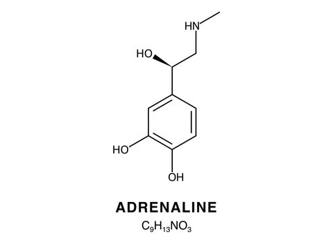 Skeletal chemical formula of Adrenaline, molecular structure.