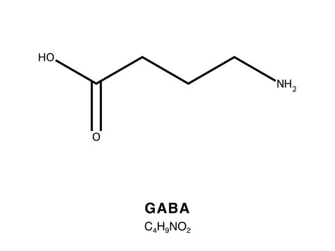 Skeletal chemical formula of GABA, molecular structure.