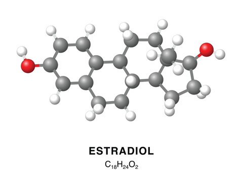 Estradiol molecular structure 3d representation. Vector Illustration