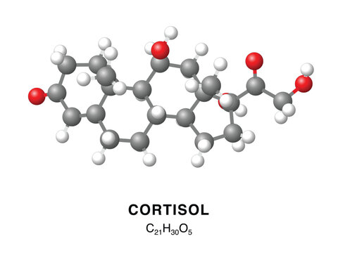 Cortisol molecular structure 3d representation. Vector Illustration
