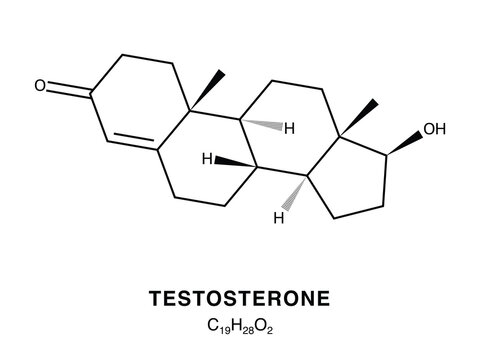 Skeletal chemical formula of Testosterone, molecular structure.