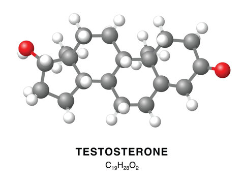 Testosterone molecular structure 3d representation. Vector Illustration