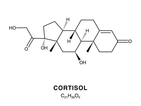 Skeletal chemical formula of Cortisol, molecular structure.