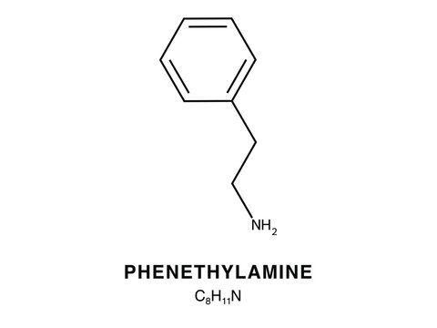 Skeletal chemical formula of Phenethylamine, molecular structure.