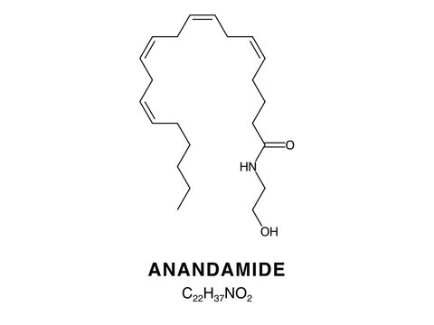 Skeletal chemical formula of Anandamide, molecular structure.