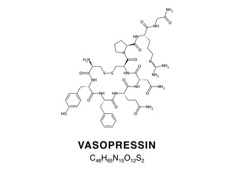 Skeletal chemical formula of Vasopressin, molecular structure.