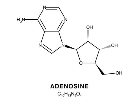 Skeletal chemical formula of Adenosine, molecular structure.