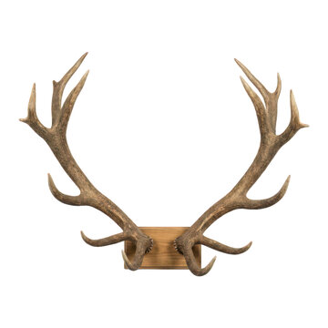 Large brown deer antlers mounted on a wooden plaque for home wall decoration