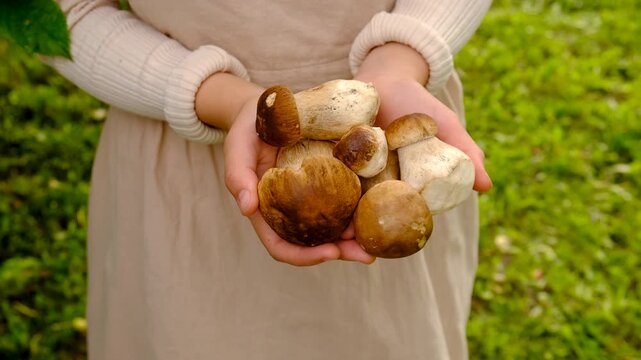 Wild mushrooms in a hand. Selective focus.