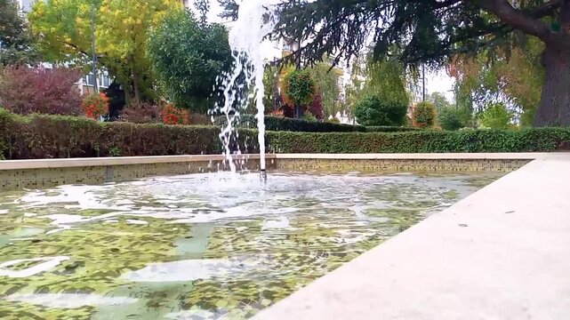 Scenic park fountain video footage, flowing water in a public garden basin, tranquil outdoor landscape scene, relaxing nature stock video background