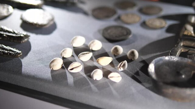 Close up of ancient cowrie shells and old coins on display