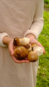 Wild mushrooms in a hand. Selective focus.