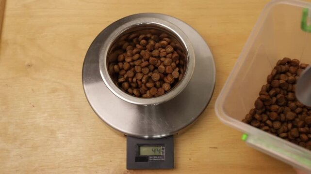 overhead view of a woman's hands measuring dry pet food with a spoon into a metal bowl on a kitchen scale, with an open kibble container on the right for portion preparation