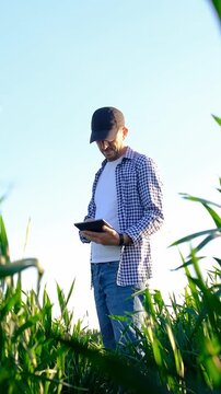 Farmer in the field. Selective focus.
