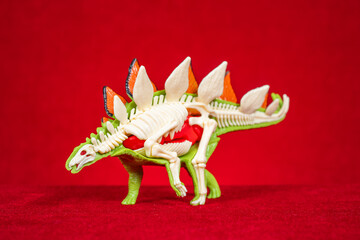 A dissected stegosaurus toy model revealing internal skeleton and organ parts © Freer