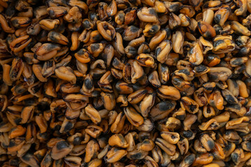 Dried mussels stacked together natural preserved shellfish seafood © Freer