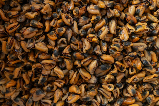 Dried mussels stacked together natural preserved shellfish seafood