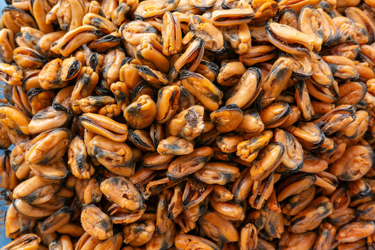 Dried mussels piled together, preserved edible marine seafood