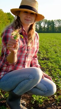 Farmer in the field. Selective focus.