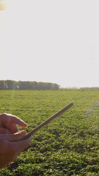 Farmer in the field. Selective focus.
