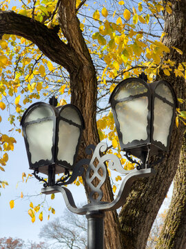 Vintage black iron street lamp against colorful autumn trees