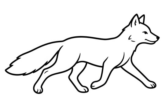 Fox walking with bushy tail line drawing