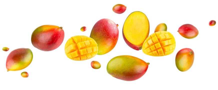Flawlessly clean retouched whole mango fruits with halves and diced hedgehog slices flying in dynamic wave loop, premium design asset ready to use for designer fantasies isolated on white