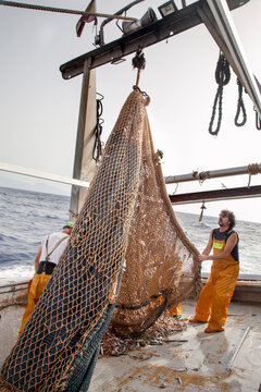 Fishermen hoisting a trawl net filled with catch