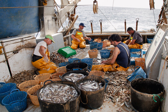 Fishermen sorting mixed catch across working trawler deck