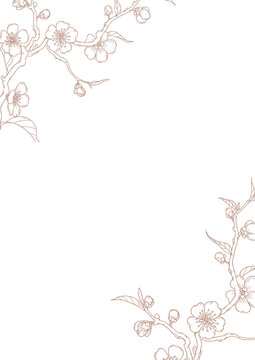 Elegant Line Art Floral Frames & Borders Set - Elegant cherry blossom branch line art frame background for wedding card