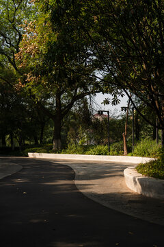 A corner of the park in the early autumn morning