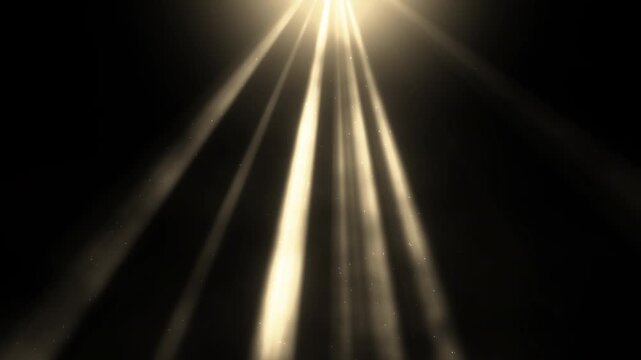 Divine light rays shining down from above through soft haze with glowing dust, heavenly god rays loop on black background