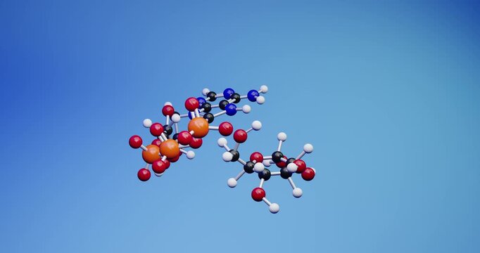 Molecule ATP and glucose reaction. 3d render video.
