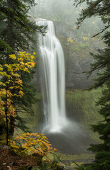 Salt Creek Falls © Anna Sereno