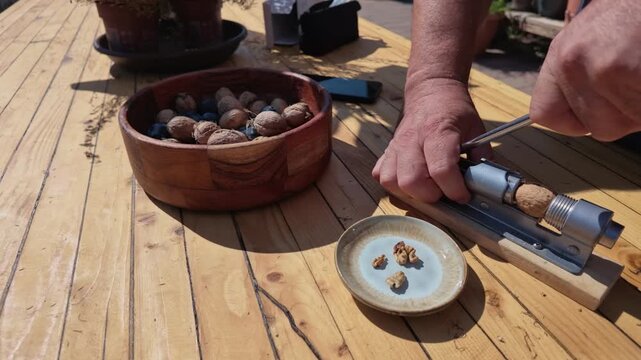 Middle-Aged Man Uses Nutcracker to Crack Walnuts at Table Today