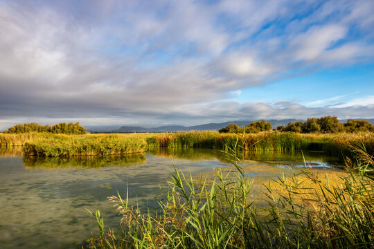 Wooden footbridge over the seasonal lagoon of Tablas de Daimiel National Park in Ciudad Real, Spain