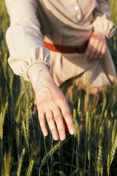 A woman's hand gently brushes ripe wheat stalks in warm summer sunlight