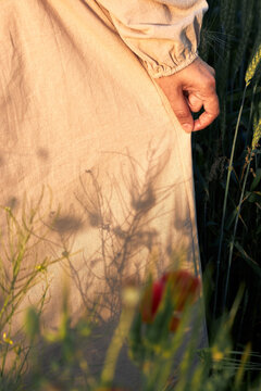 Woman gently gathers her beige dress among tall grasses in golden sunlight.