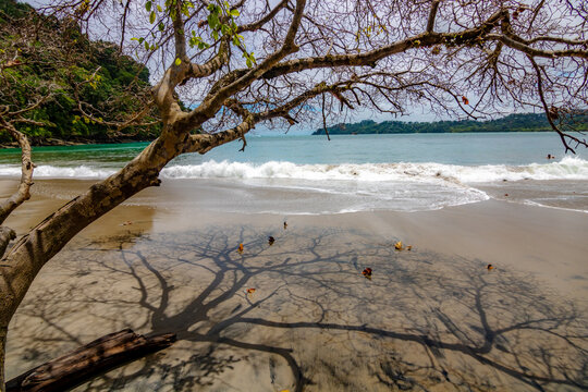 Espadilla del Sur beach, situated in the national park of the same name in Costa Rica, with turquoise waters and tropical forest