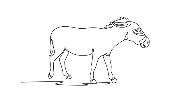 Animated self drawing of continuous line draw wild donkey or burro walking across open savanna, its large upright ears, bristled mane, bowed head, and slender legs. Full length single line animation