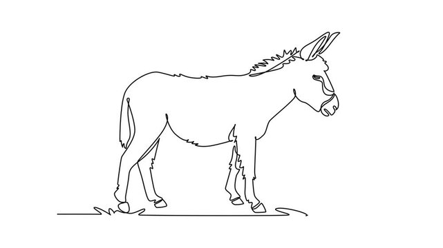 Animated self drawing of continuous line draw a wild donkey standing peacefully in side profile, its upright ears, bristled mane, calm expression, and sturdy hooves. Full length single line animation
